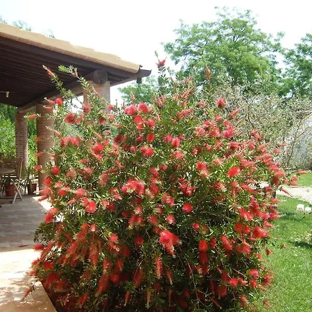 Quartopodere * Magliano in Toscana